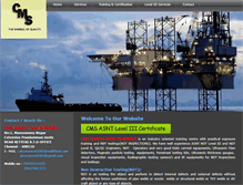 Tablet Screenshot of ndtchennai.com